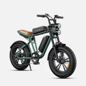 Engwe M20 con doppia batteria